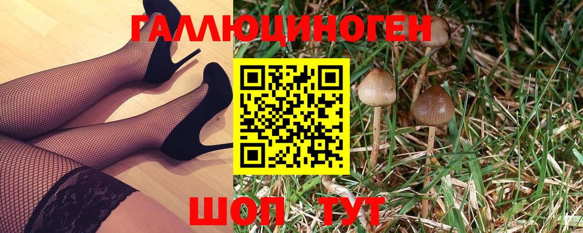 Галлюциногенные грибы Psilocybe Рославль